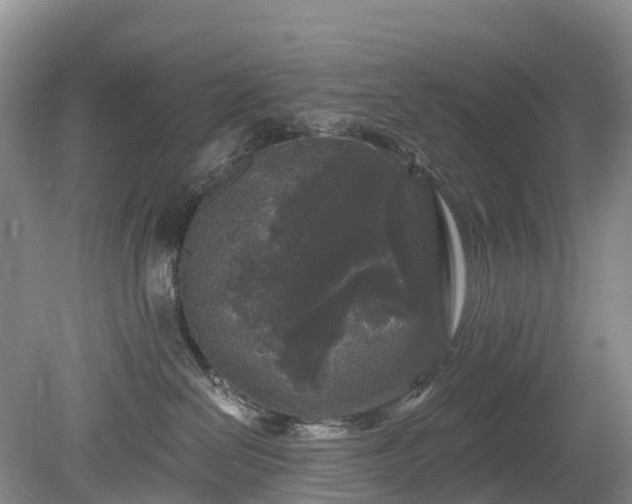 X0000078870286200611201347