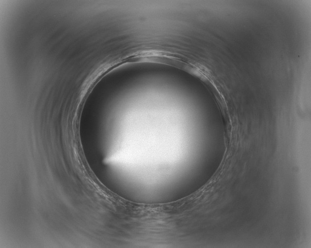 X0000078870289200611201347