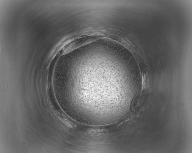 X0000078870291200611201347