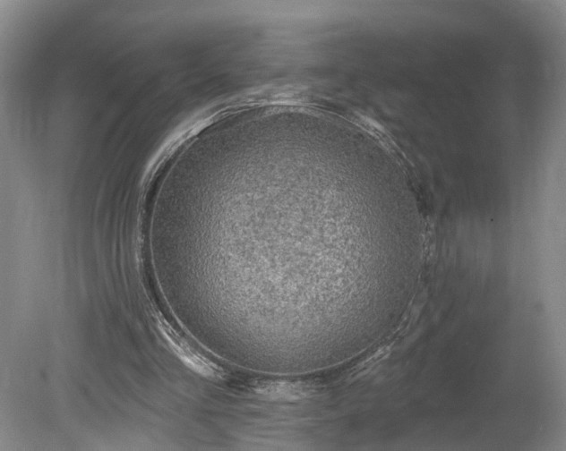 X0000078870293200611201347