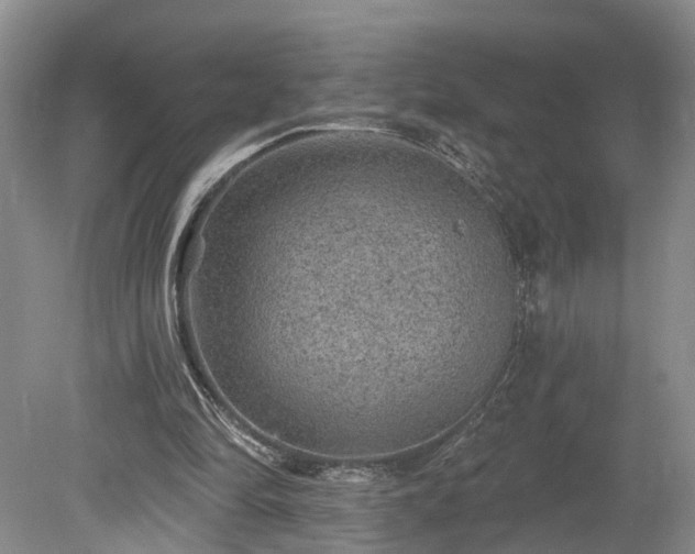 X0000078870294200611201347
