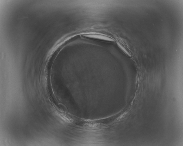 X0000078870295200611201347