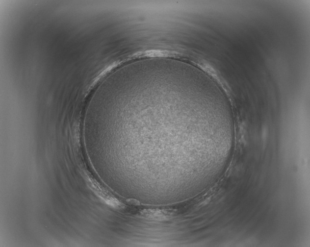 X0000078870297200611201347