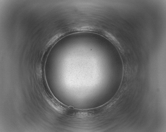 X0000078870298200611201347