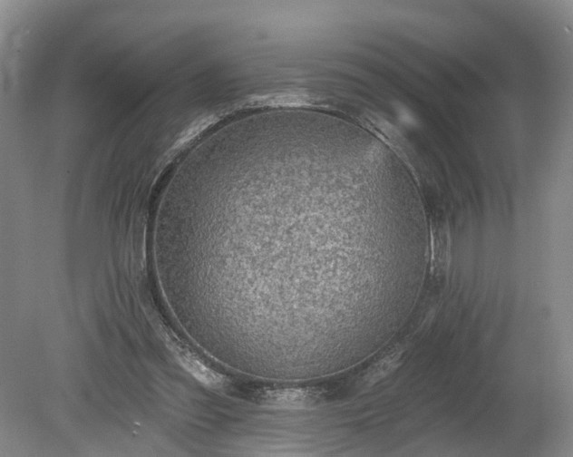 X0000078870301200611201347