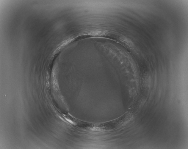 X0000078870303200611201346