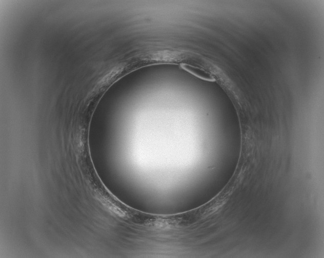 X0000078870305200611201346
