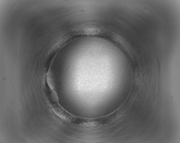 X0000078870307200611201346