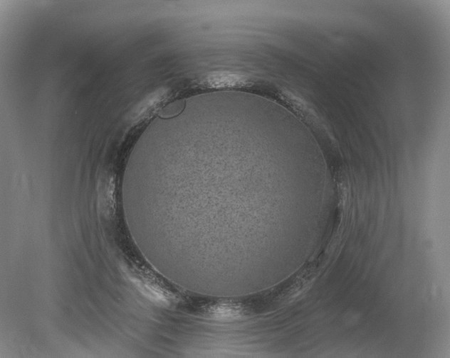 X0000078870308200611201346