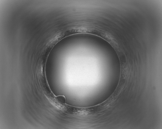 X0000078870310200611201346