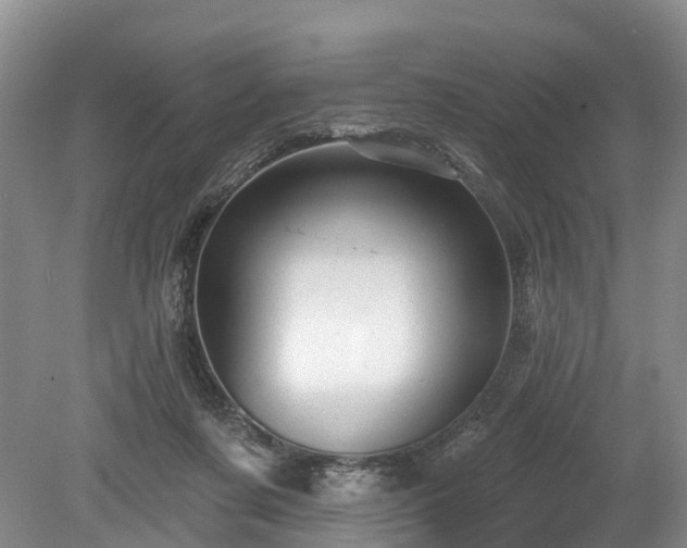 X0000078870311200611201346