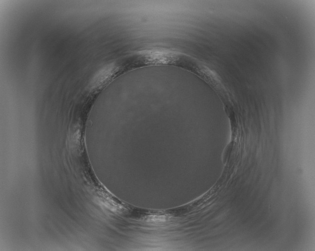 X0000078870314200611201346