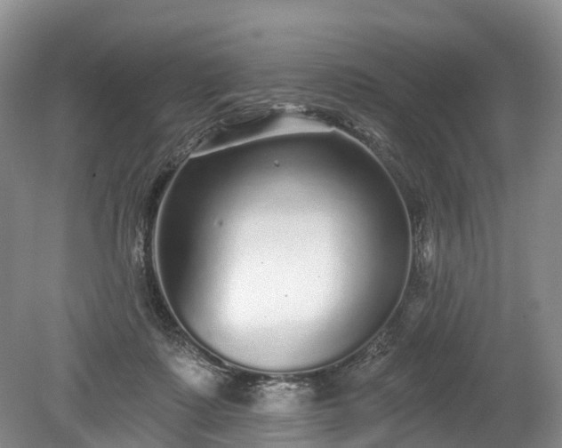 X0000078870315200611201346