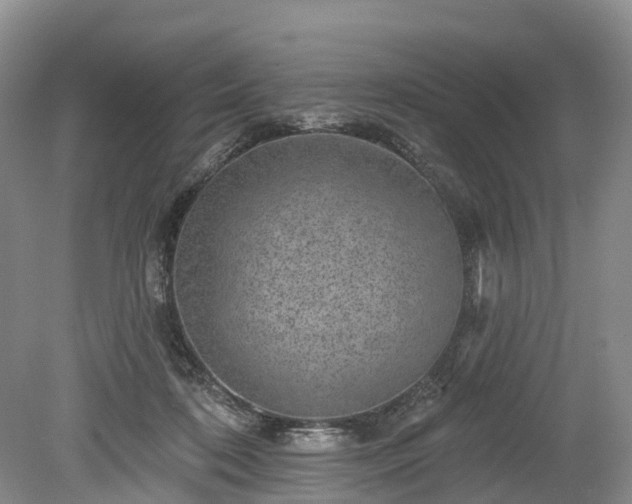 X0000078870316200611201346