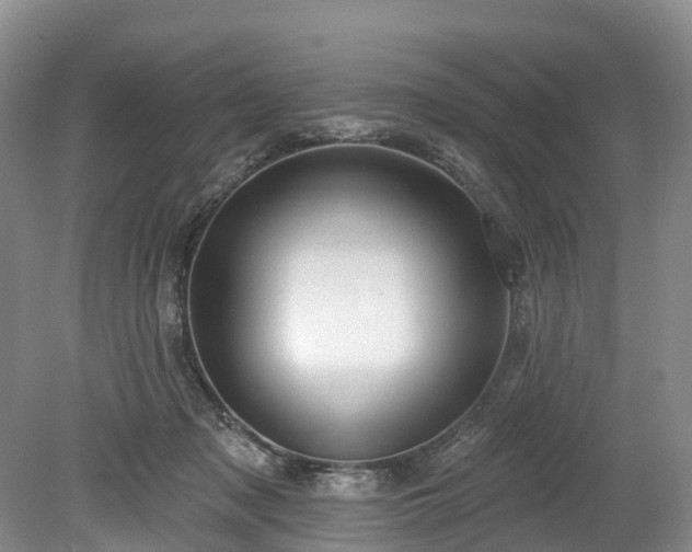 X0000078870317200611201346