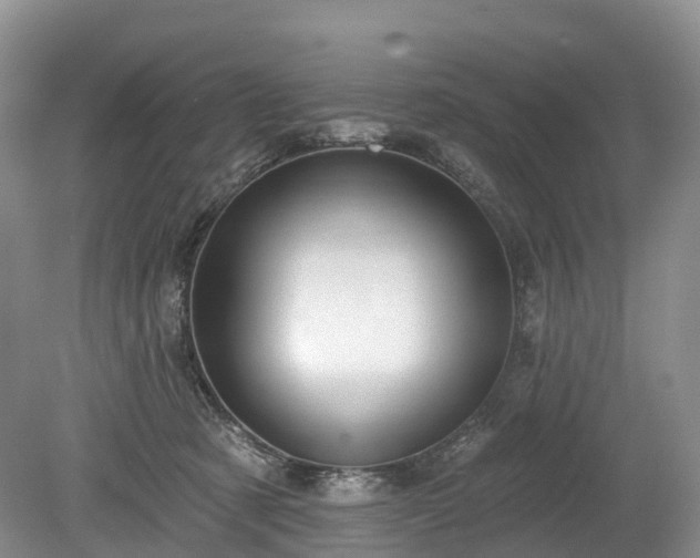 X0000078870321200611201346