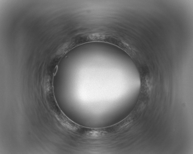 X0000078870323200611201346