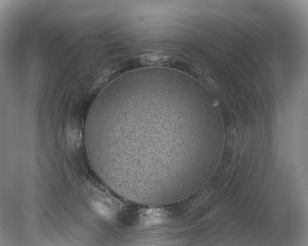 X0000078870324200611201346