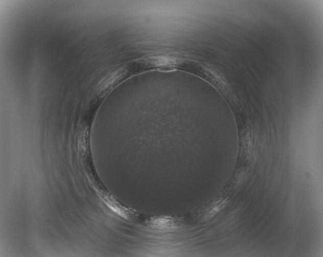 X0000078870325200611201346