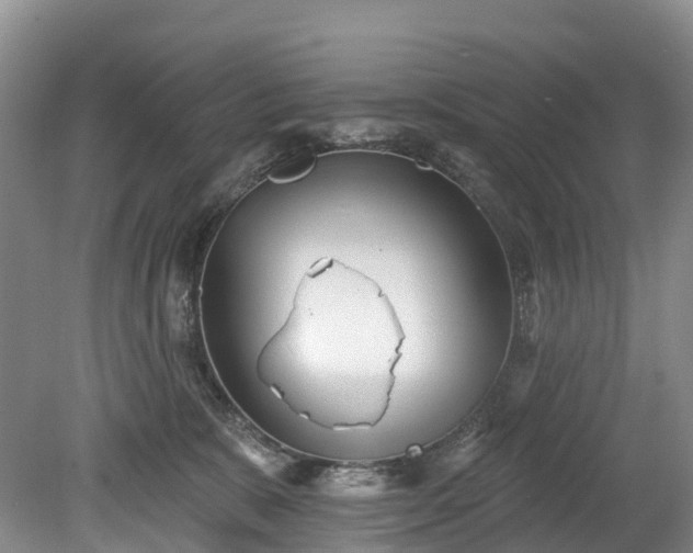 X0000078870327200611201346