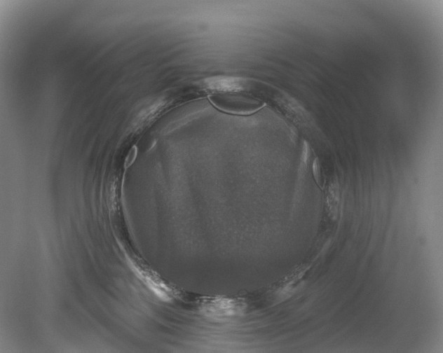 X0000078870330200611201346