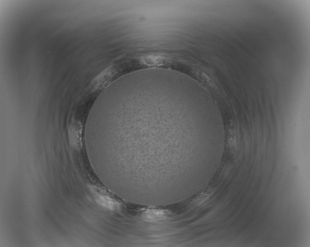 X0000078870332200611201346