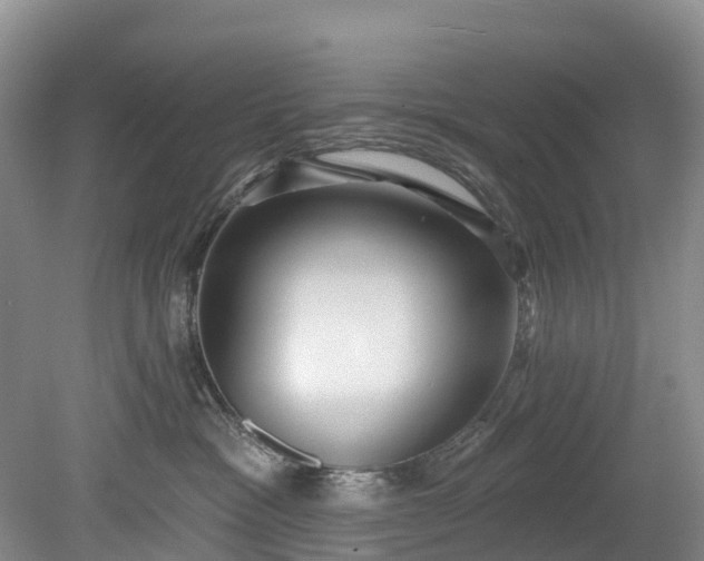 X0000078870333200611201346