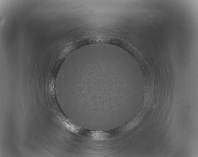 X0000078870336200611201346