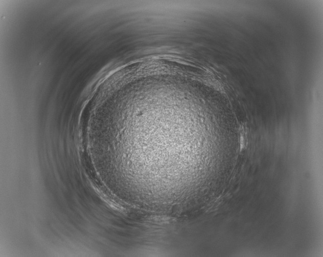 X0000078870339200611201345
