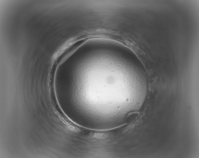 X0000078870341200611201345