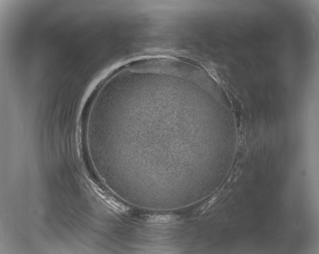 X0000078870342200611201345
