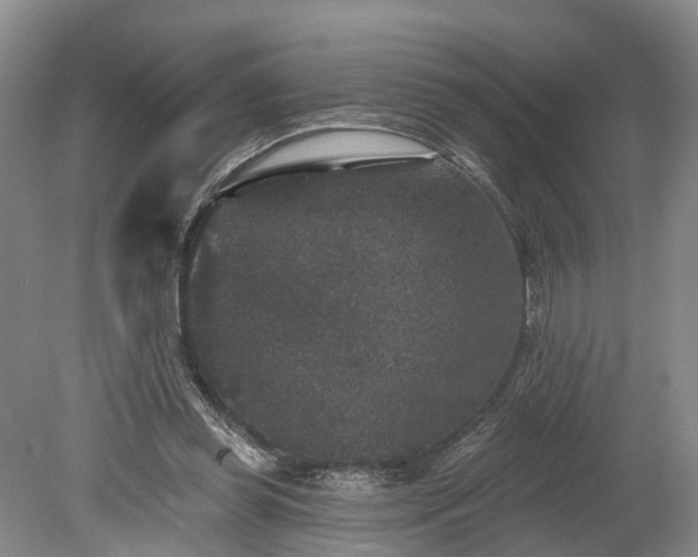 X0000078870349200611201345