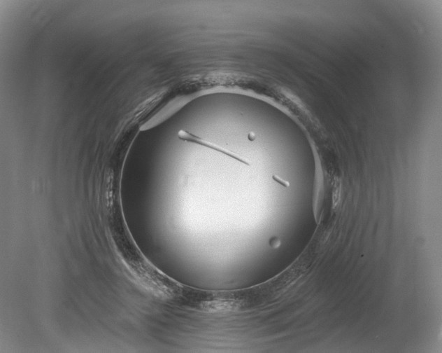 X0000078870356200611201345