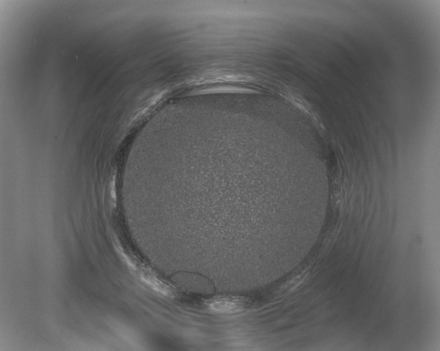 X0000078870358200611201345
