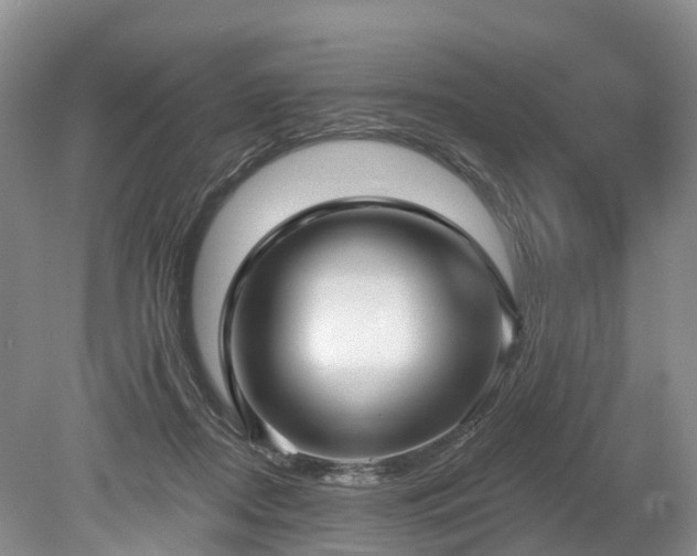 X0000078870362200611201346
