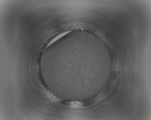 X0000078870363200611201346