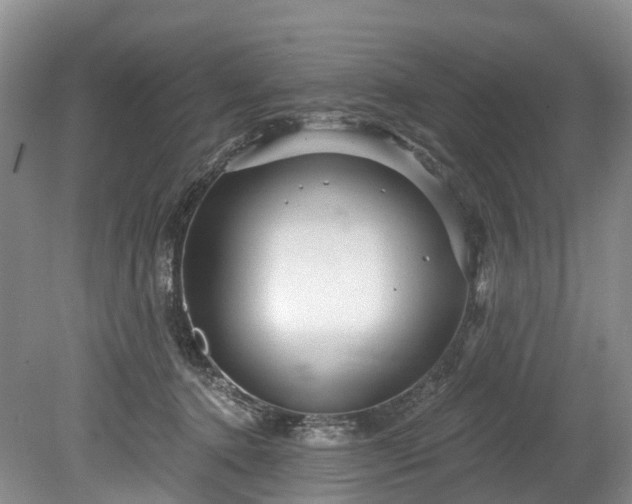 X0000078870368200611201346