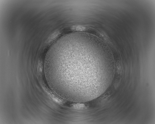 X0000078870374200611201346