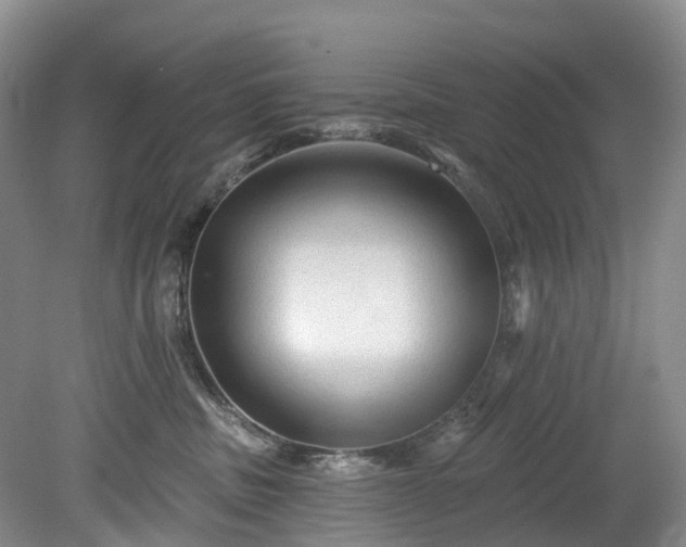 X0000078870379200611201346