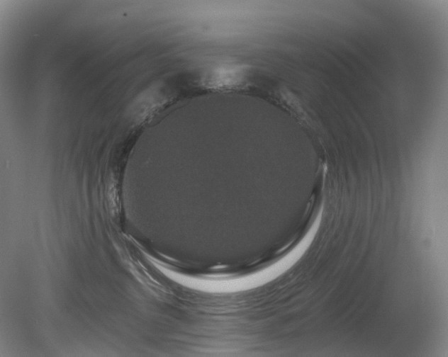 X0000078870380200611201346