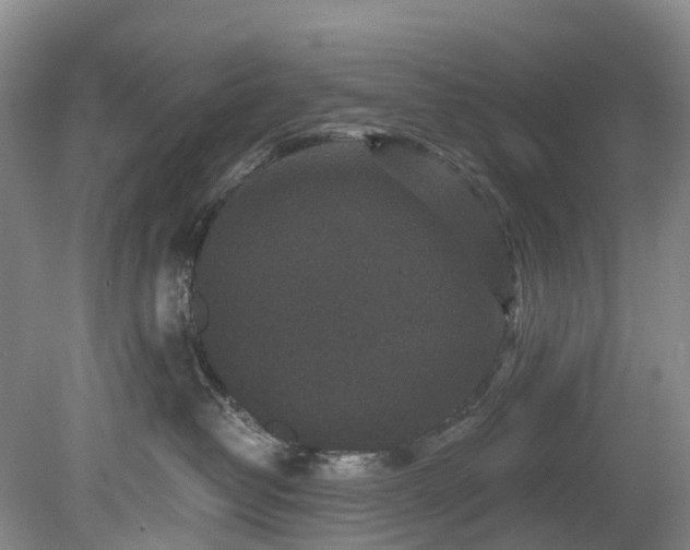 X0000078870382200611201346