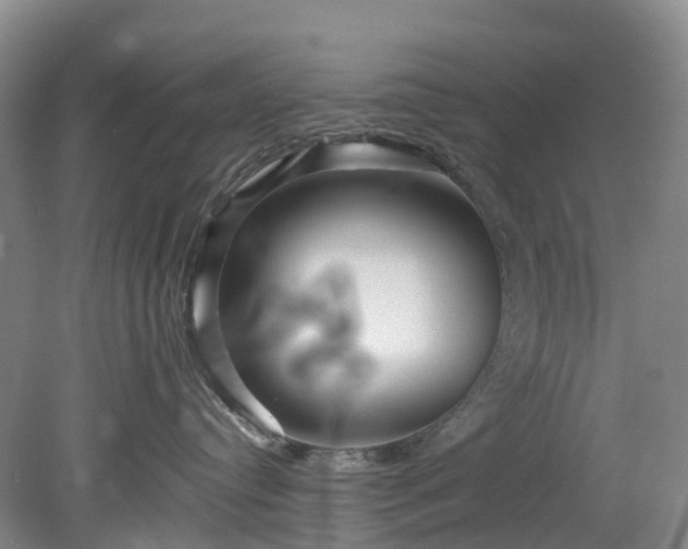 X0000078870384200611201346