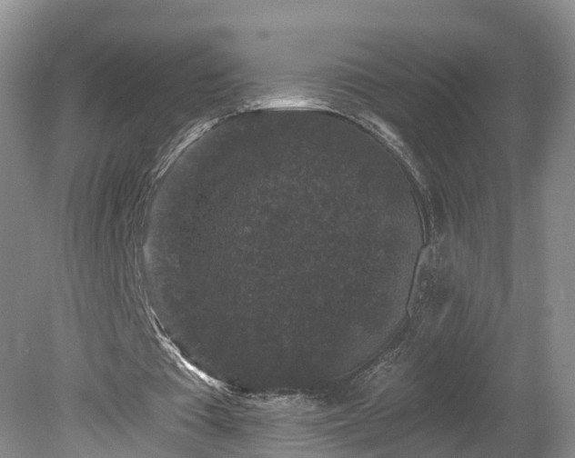 X0000078870385200611201345