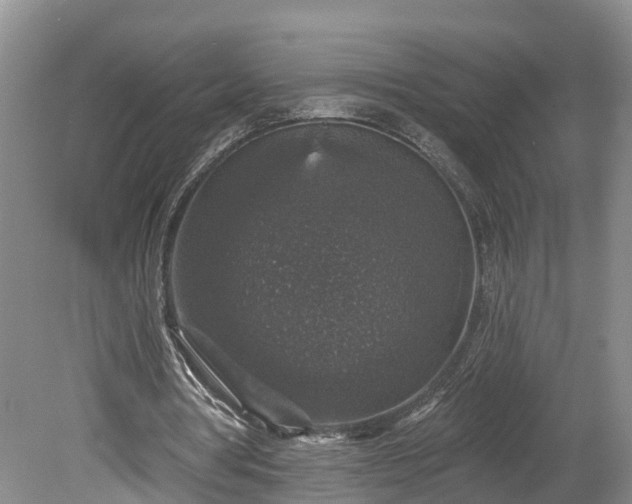 X0000078870386200611201345