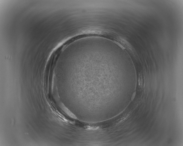 X0000078870388200611201345