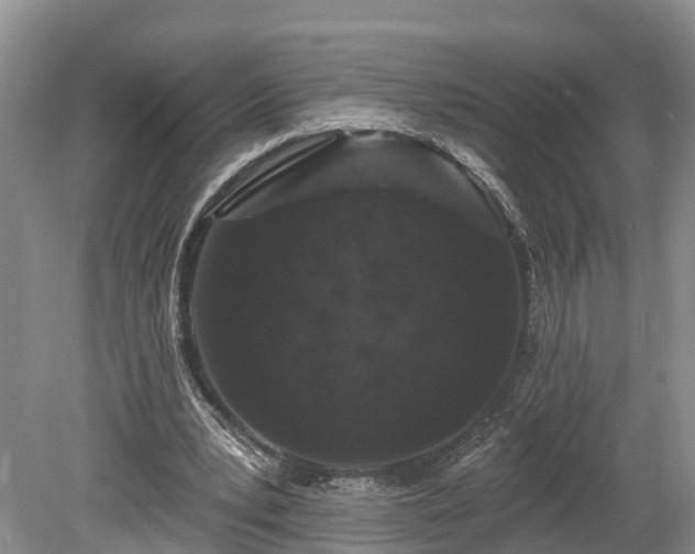 X0000078870391200611201345