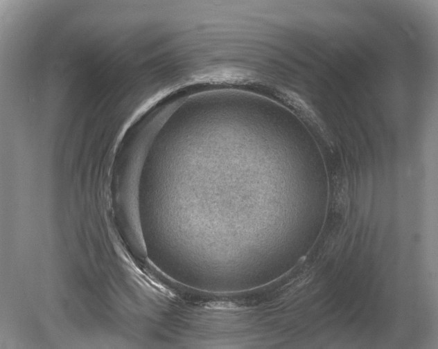 X0000078870392200611201345