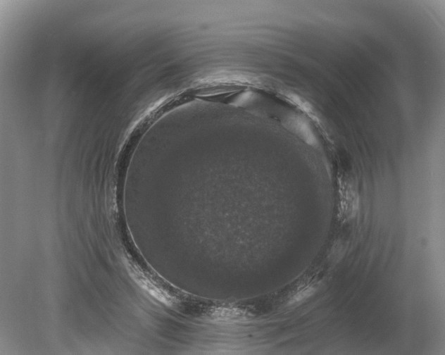 X0000078870399200611201345