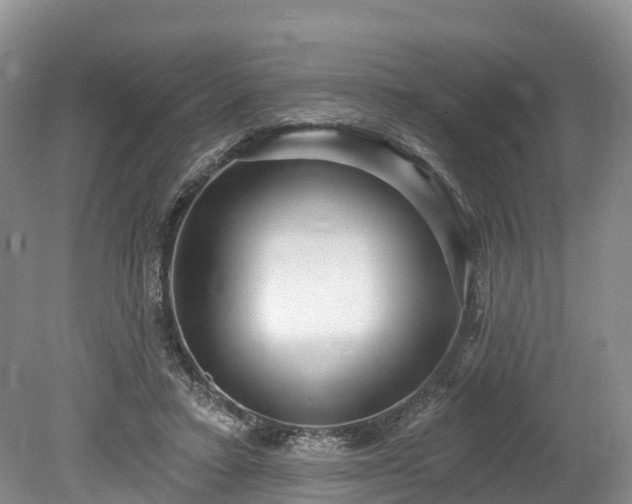 X0000078870403200611201345