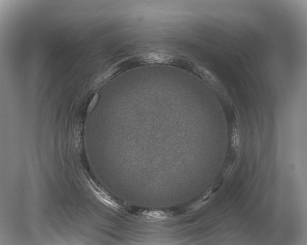 X0000078870409200611201345